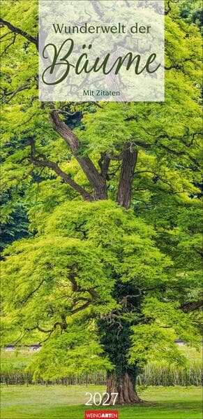 Wunderwelt der Bäume Kalender 2027