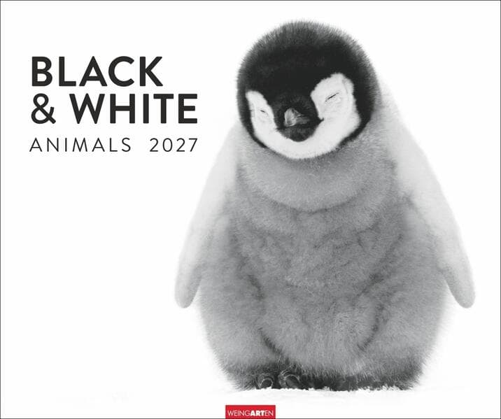Black & White Animals 2027