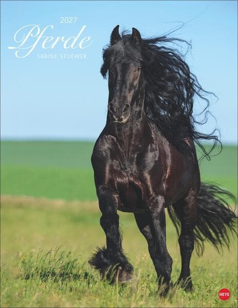 Pferde Classics Posterkalender 2027