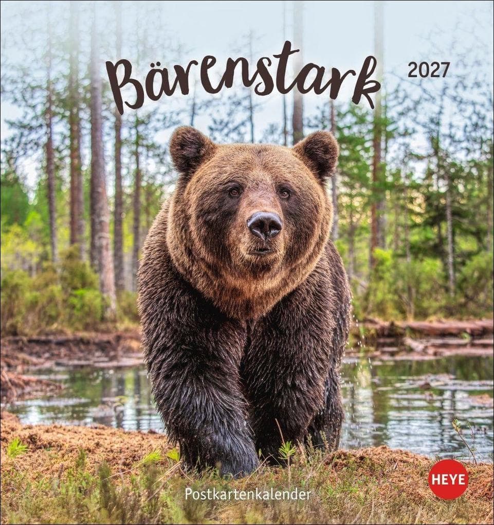 Bärenstark Postkartenkalender 2027