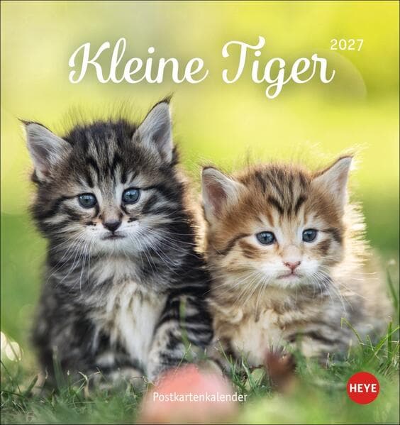 Katzen Postkartenkalender Kleine Tiger 2027