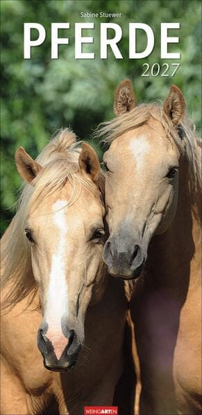 Pferde Kalender 2027