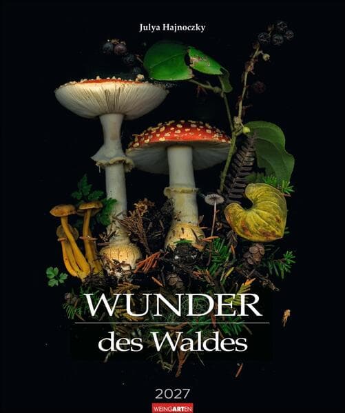 Wunder des Waldes 2027