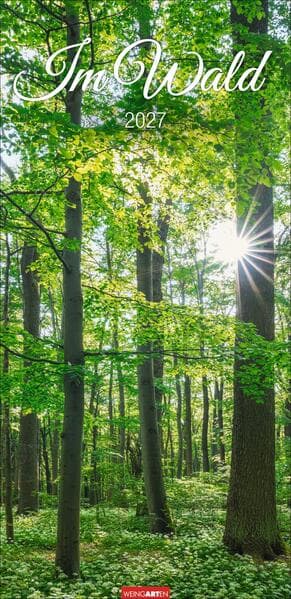 Im Wald Kalender 2027