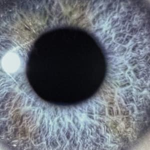 Moontower (Re-issue,transp. light blue LP)