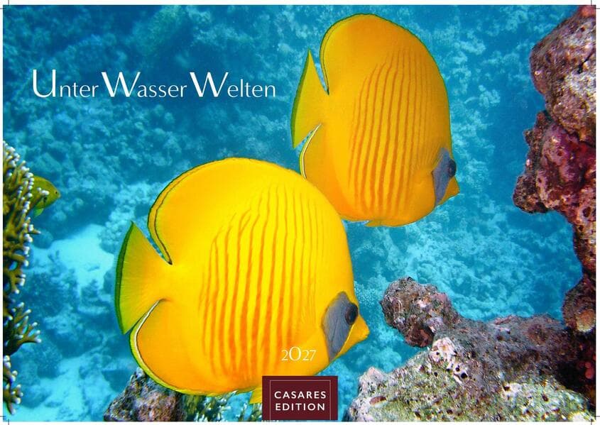 Unterwasserwelten Kalender 2027 - Wandkalender | Fotokalender Naturkalender 35x50cm Großformat - Atemberaubende Meereslandschaften & Korallenriffe.