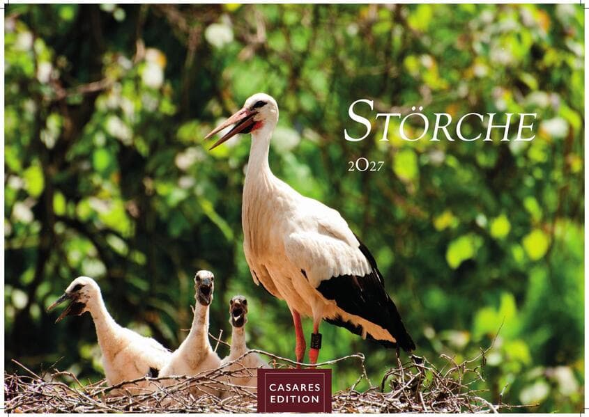 Störche Kalender 2027 - Wandkalender | Fotokalender Tierkalender 24x35cm - Inspirierende Storch-Motive für Natur- und Tierkalenderliebhaber.