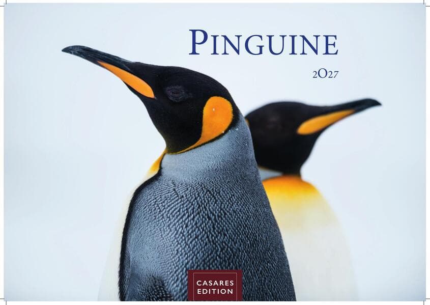 Pinguine Kalender 2027 - Wandkalender | Fotokalender Tierkalender 35x50cm Grosses Format | . mit niedlichen Pinguin-Motiven im antarktischen Lebensraum.