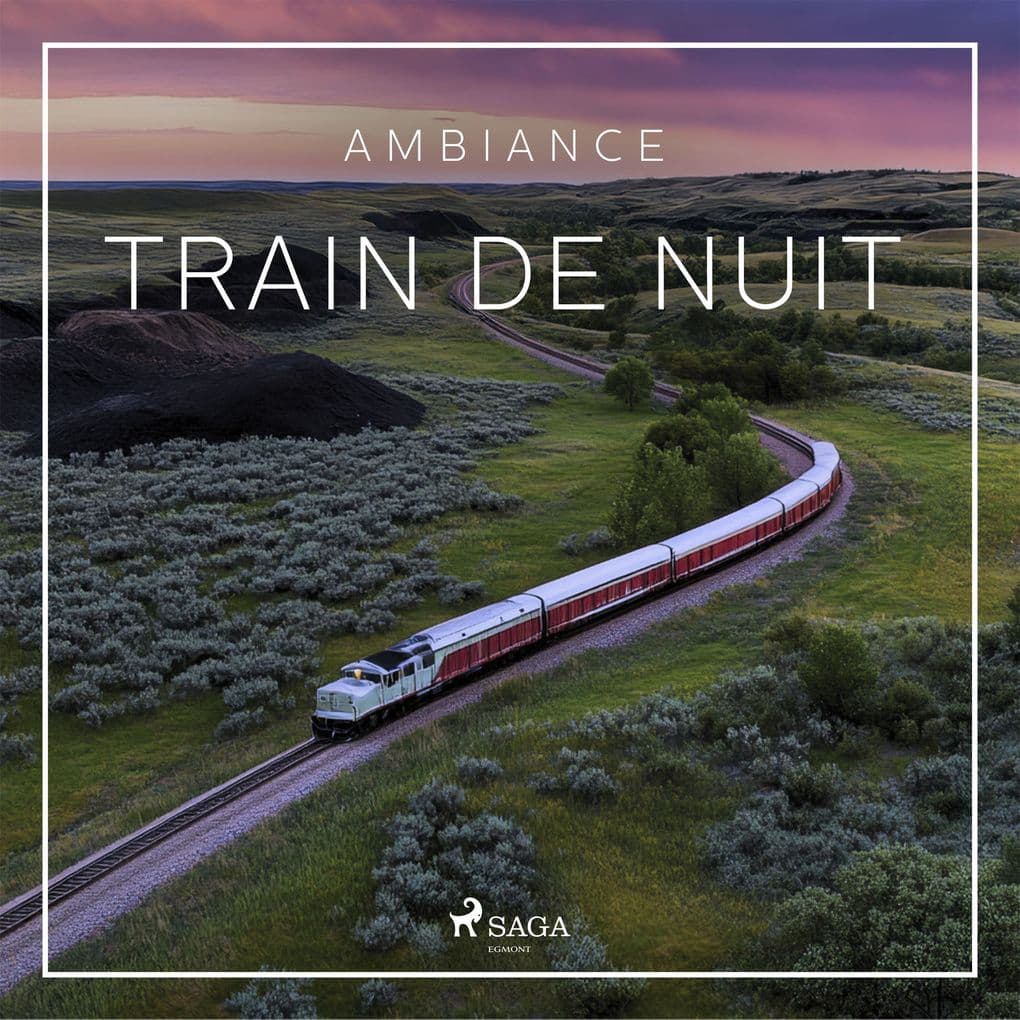 Train de nuit Bruits d'un wagon-couchette