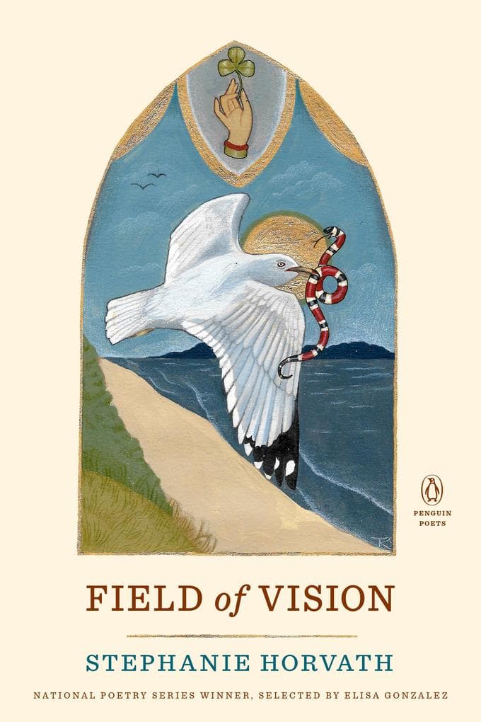Field of Vision