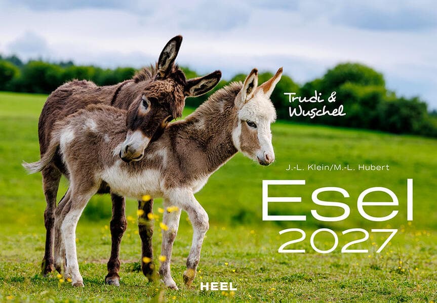 Esel Kalender 2027