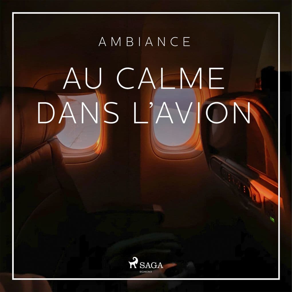 Au calme dans l'avion