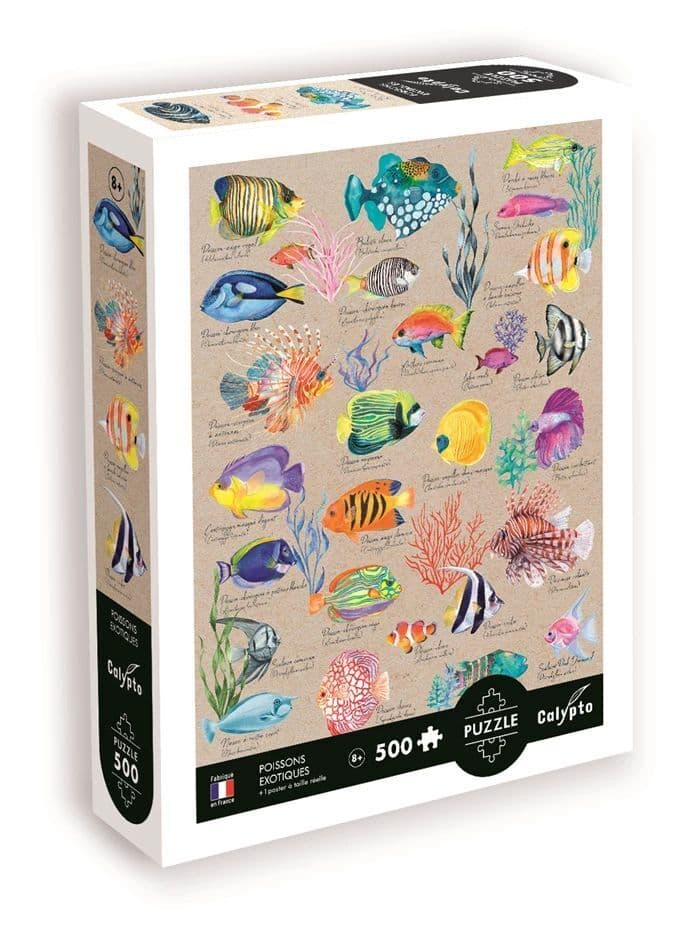 CALYPTO - Exotische Fische 500 Teile
