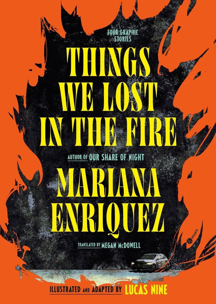 Things We Lost in the Fire: Four Graphic Stories