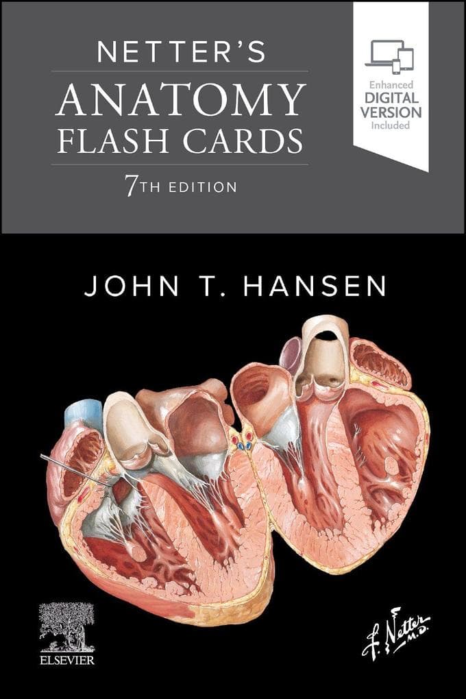 Netter's Anatomy Flash Cards