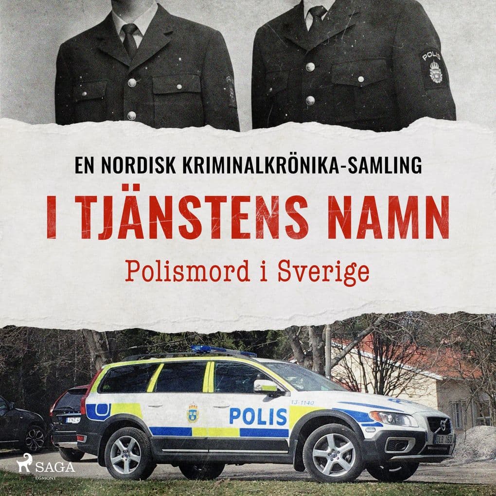 I tjänstens namn Polismord i Sverige