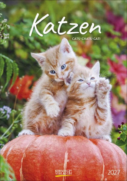 Katzen 2027