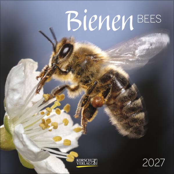 Bienen 2027