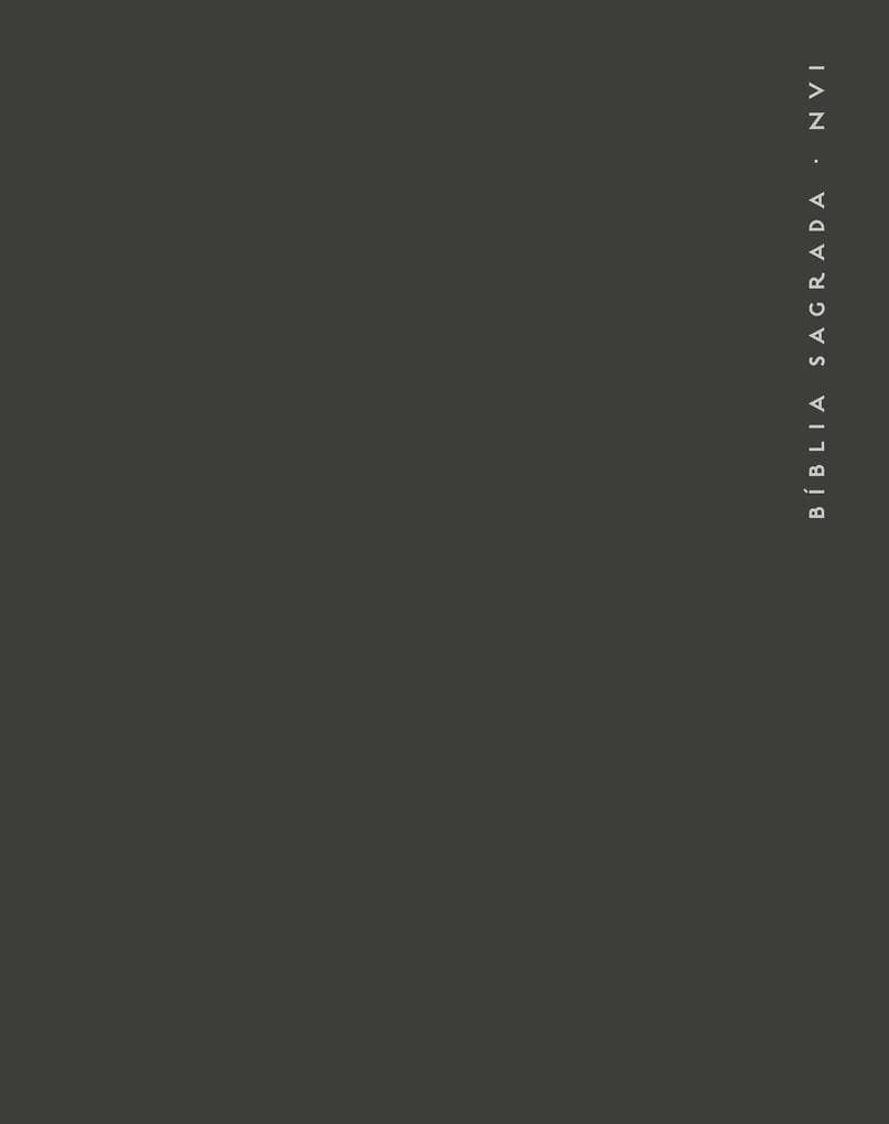 Bíblia NVI com Espaço para Anotações central, Capa dura cinza com elástico, Espiral, Leitura Perfeita