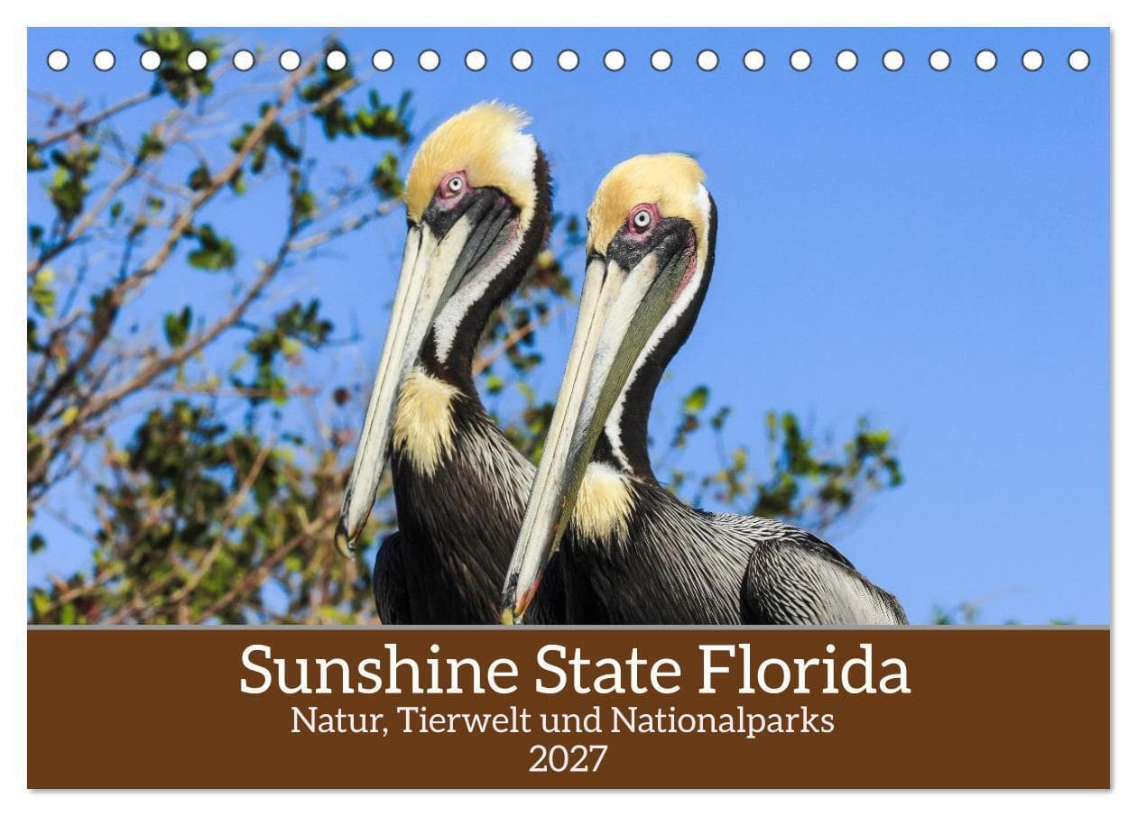 Sunshine State Florida Natur, Tierwelt und Nationalparks (Tischkalender 2027 DIN A5 quer), CALVENDO Monatskalender