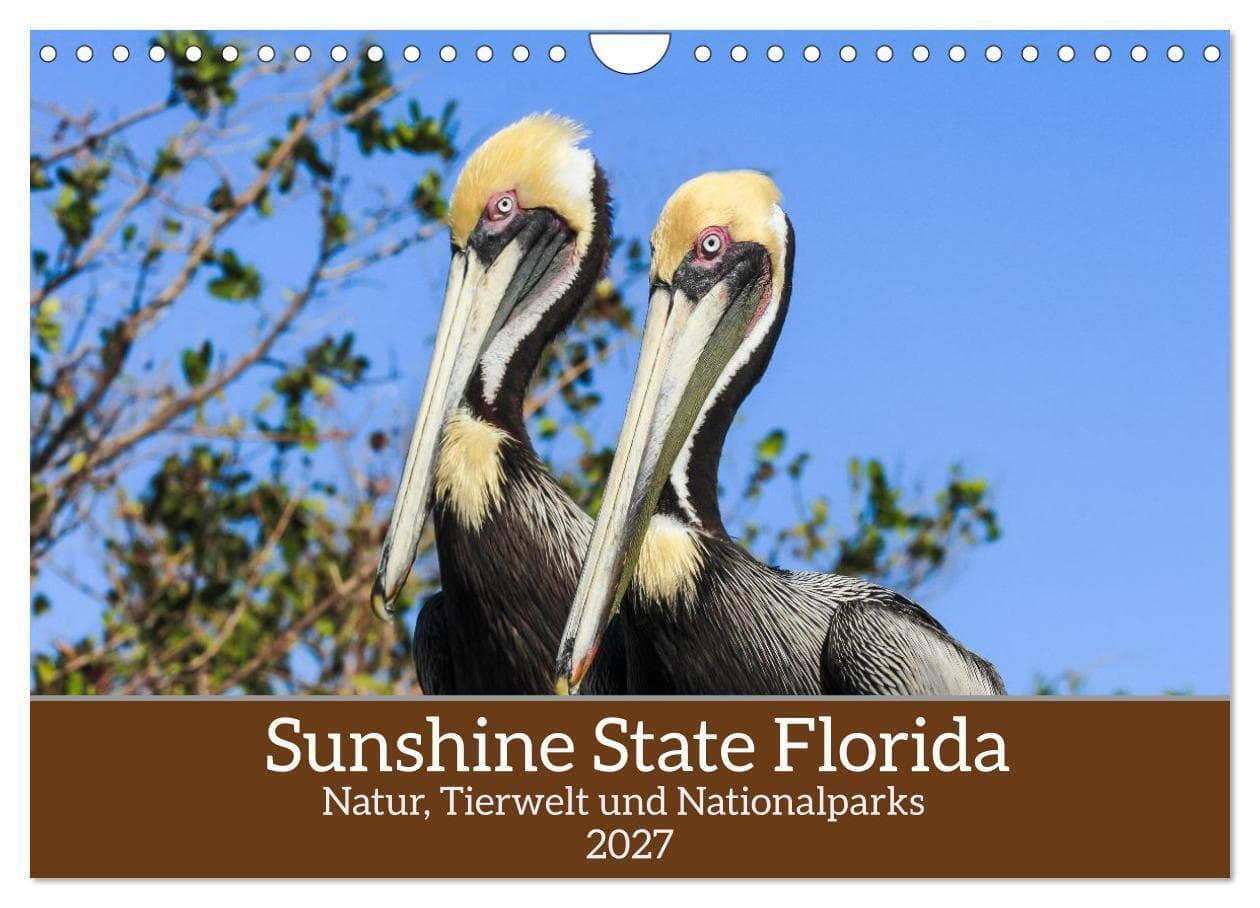 Sunshine State Florida Natur, Tierwelt und Nationalparks (Wandkalender 2027 DIN A4 quer), CALVENDO Monatskalender