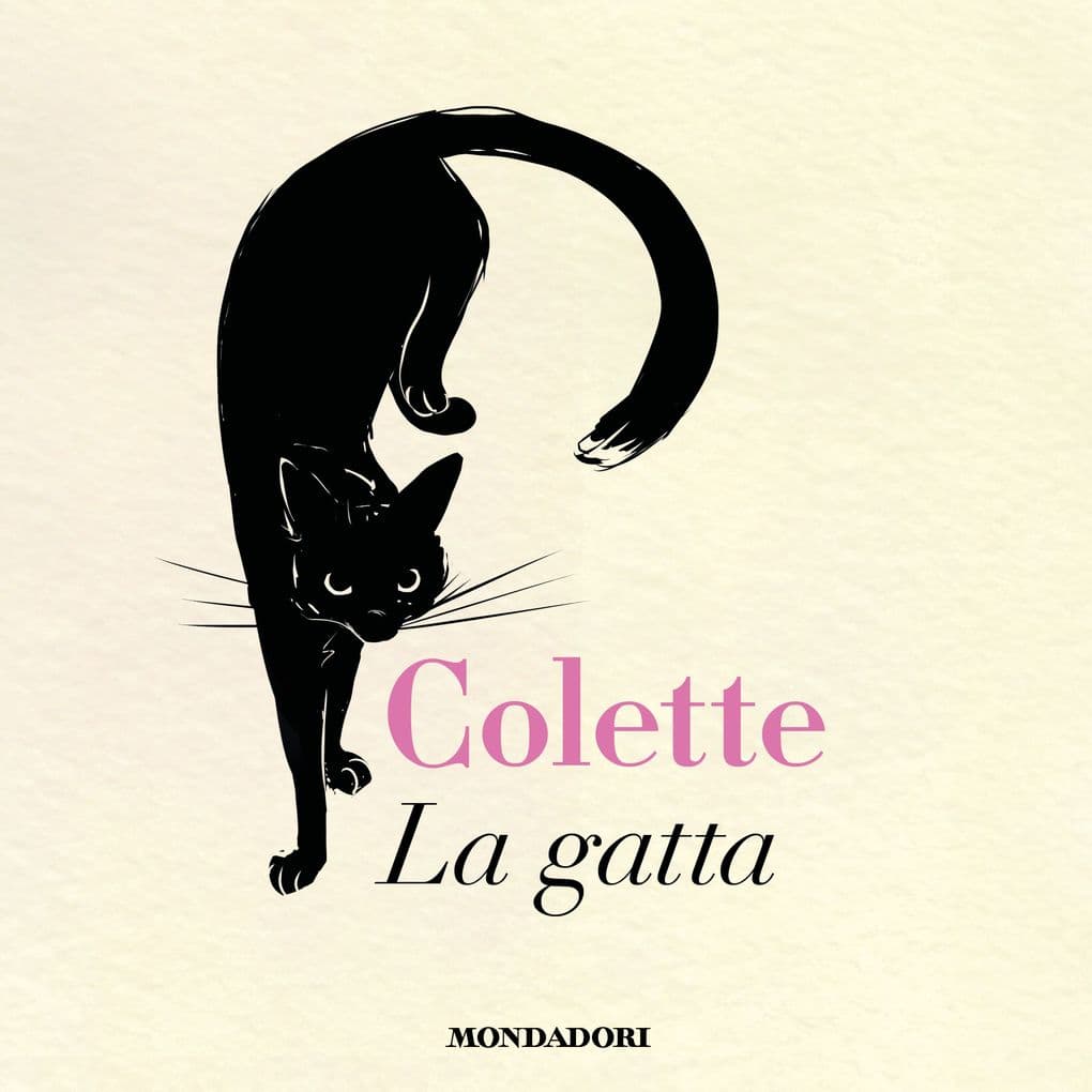 La gatta