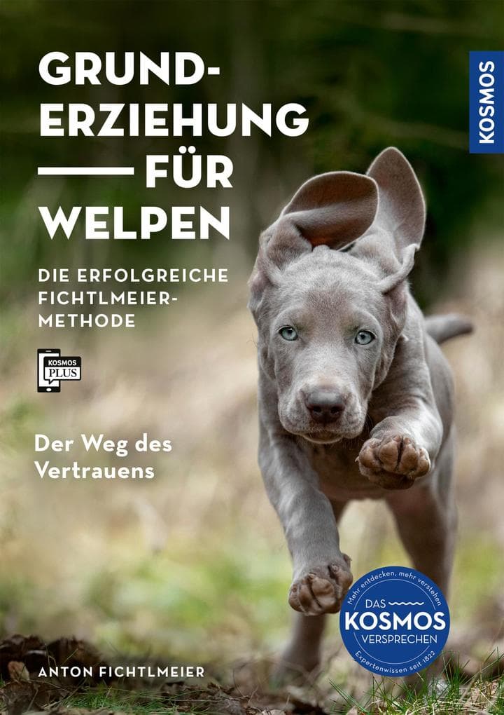 Grunderziehung für Welpen