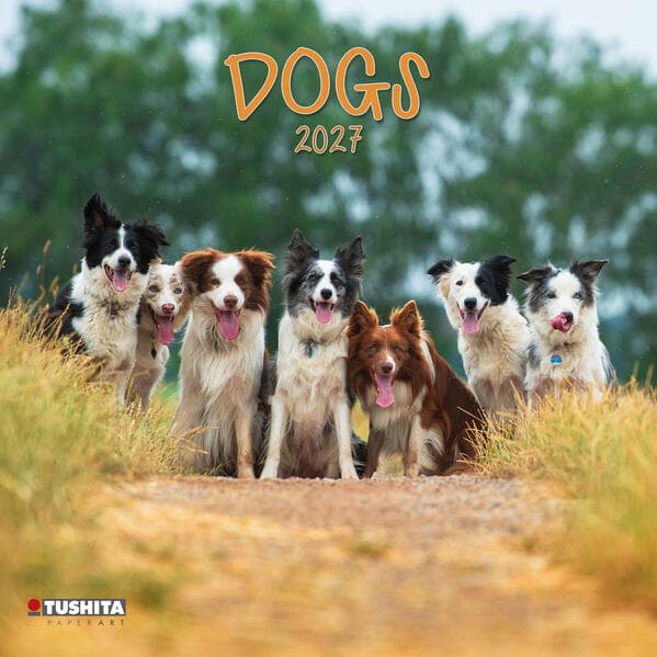 Dogs 2027