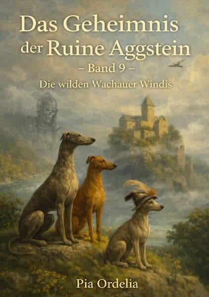 Das Geheimnis der Ruine Aggstein Band 9