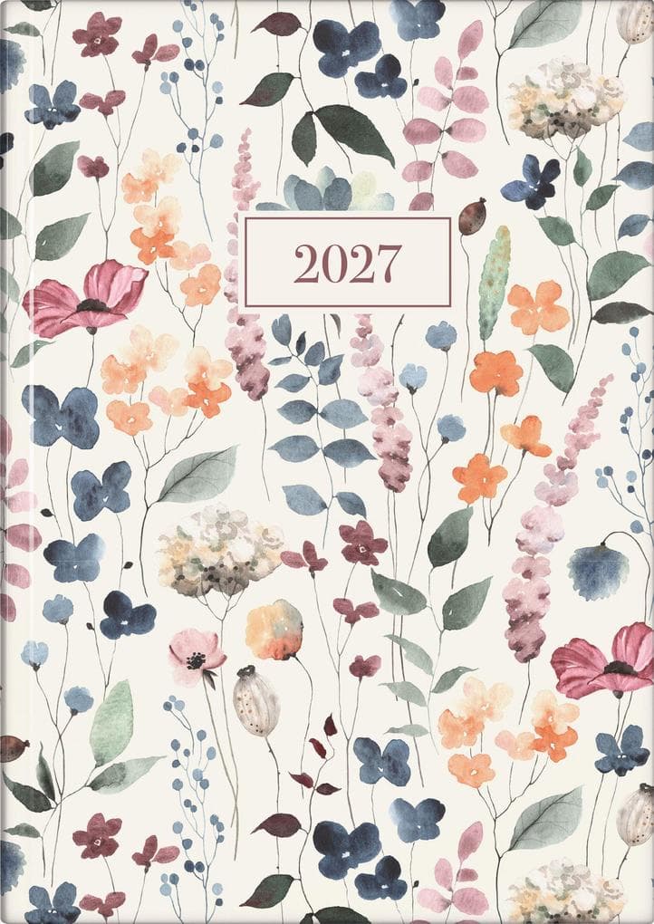 rido/idé 7028507027 Buchkalender Premium Young Line 2027 "Watercolor" A5, Papier