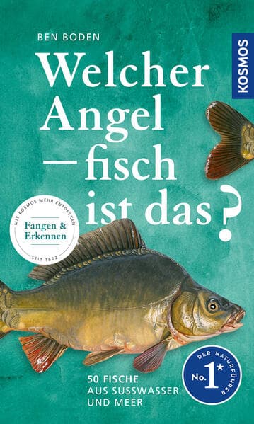 Welcher Angelfisch ist das?