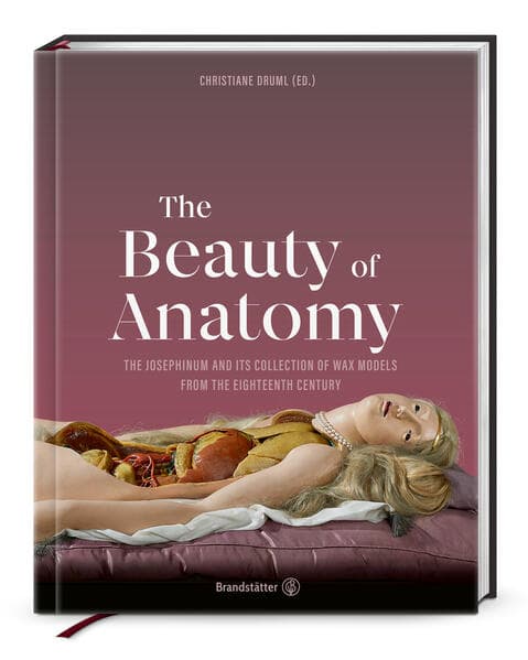 The Beauty of Anatomy