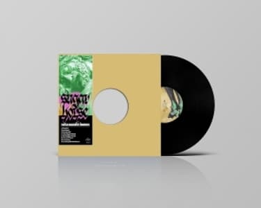 Not A Sound In Heaven