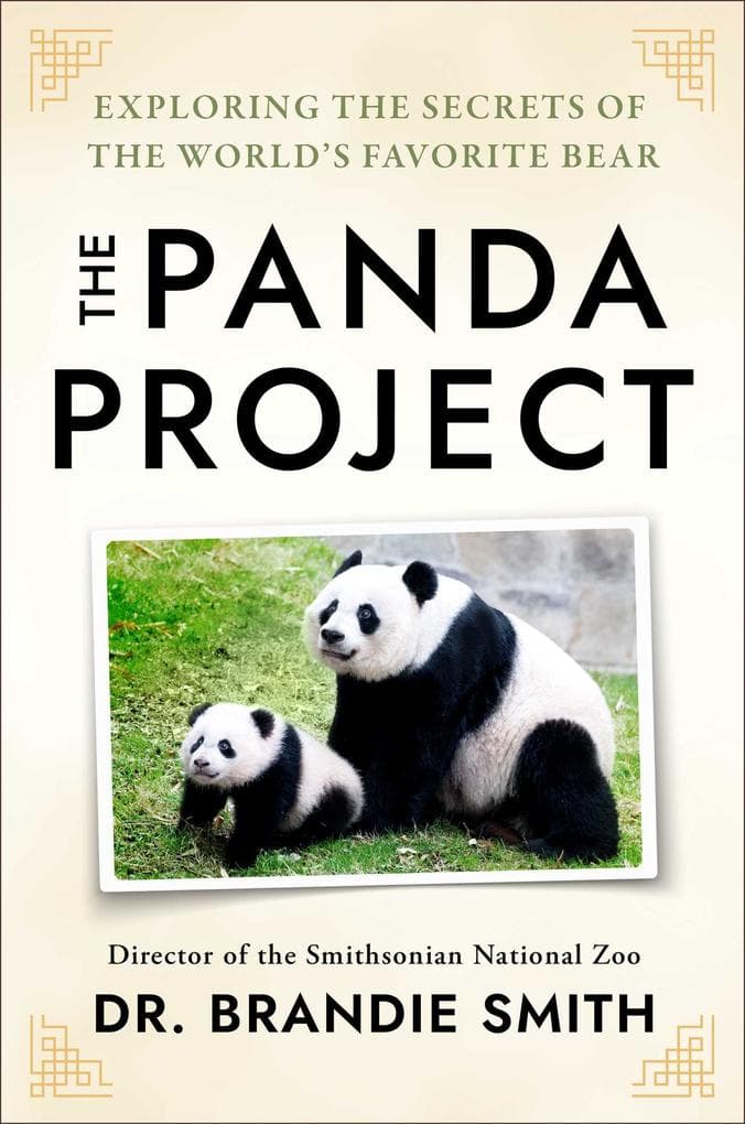 In the Company of Pandas
