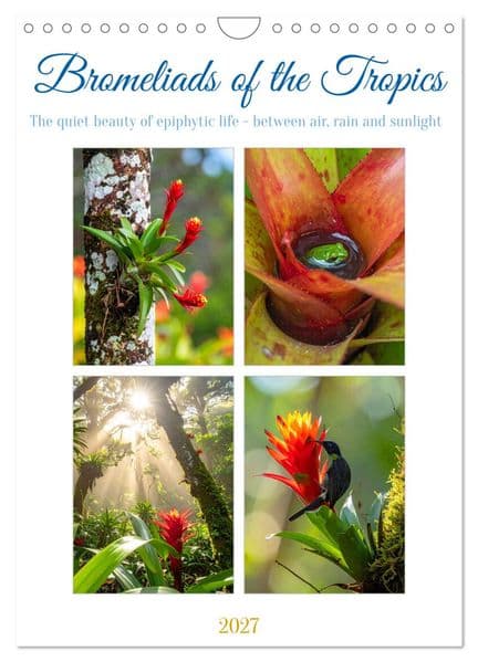 Bromeliads of the Tropics (Wall Calendar 2027 DIN A4 portrait), CALVENDO 12 Month Wall Calendar