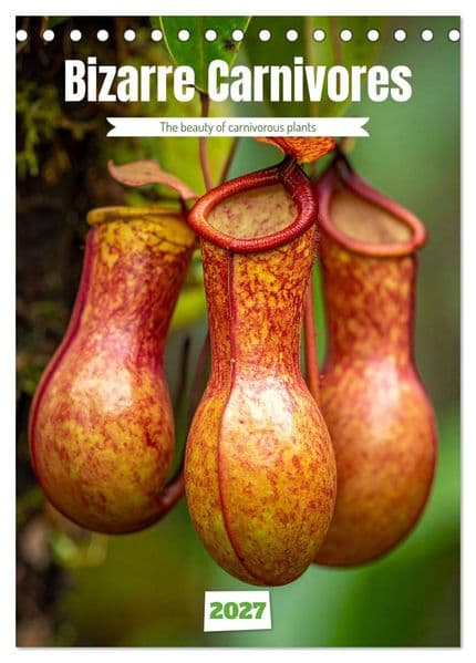 Bizarre Carnivores (Desk Calendar 2027 DIN A5 portrait), CALVENDO 12 Month DeskCalendar