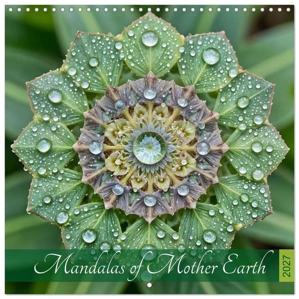Mandalas of Mother Earth (Wall Calendar 2027 12 × 12 Inch) CALVENDO 12 Month Wall Calendar