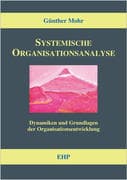 Systemische Organisationsanalyse