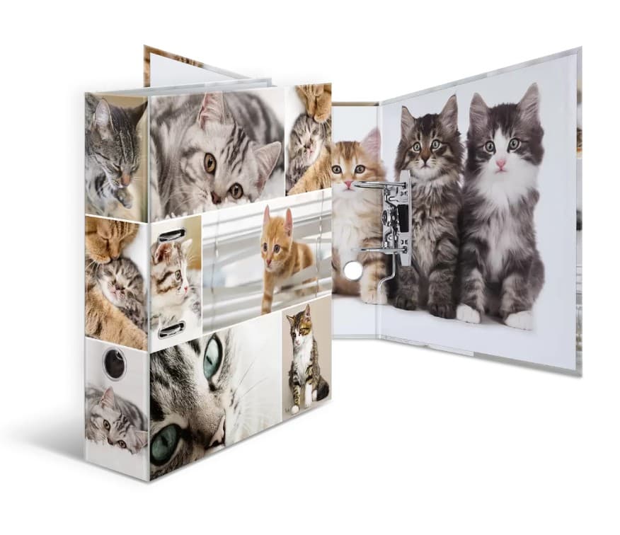 Herma Motiv-Ordner A4 Animals Katzen