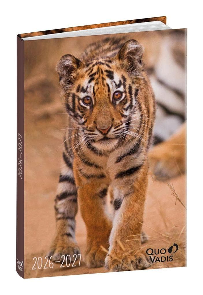 Schülerkalender Forum Tiere Tiger 2026 / 2027
