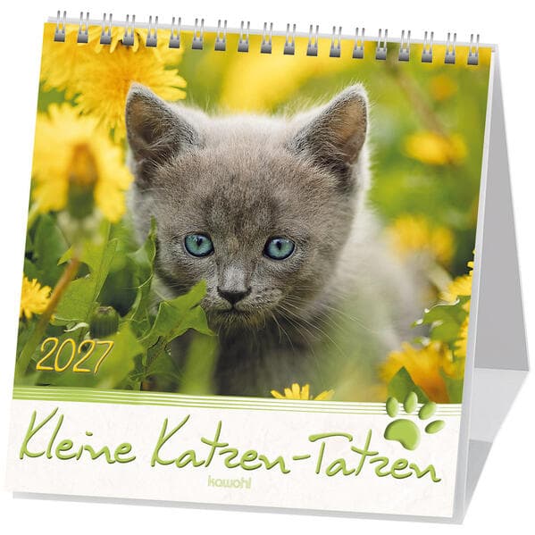 Kleine Katzen-Tatzen 2027
