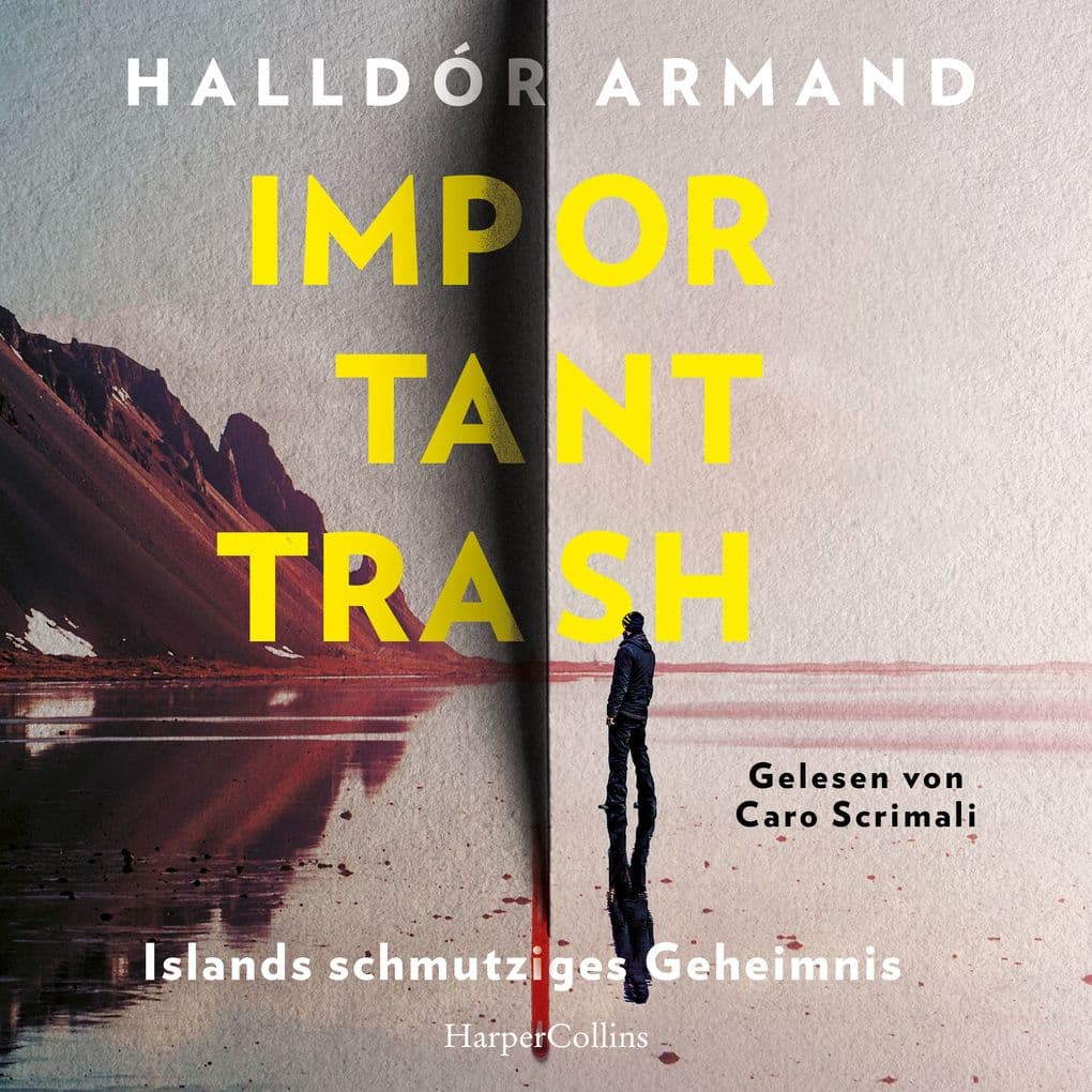 Important Trash: Islands schmutziges Geheimnis: Thriller | »Die Zukunft der isländischen Literatur. Schon jetzt ein Klassiker!« Steinar Bragi