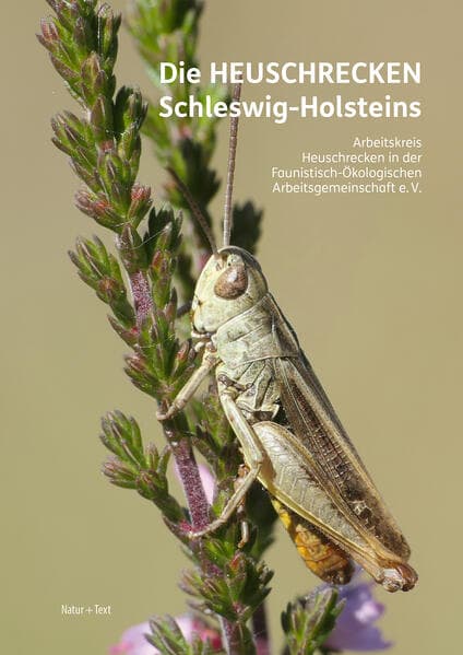 Die Heuschrecken Schleswig-Holsteins