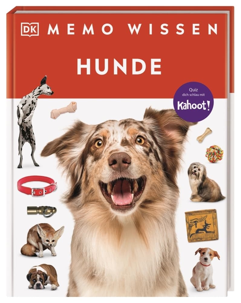 memo Wissen. Hunde