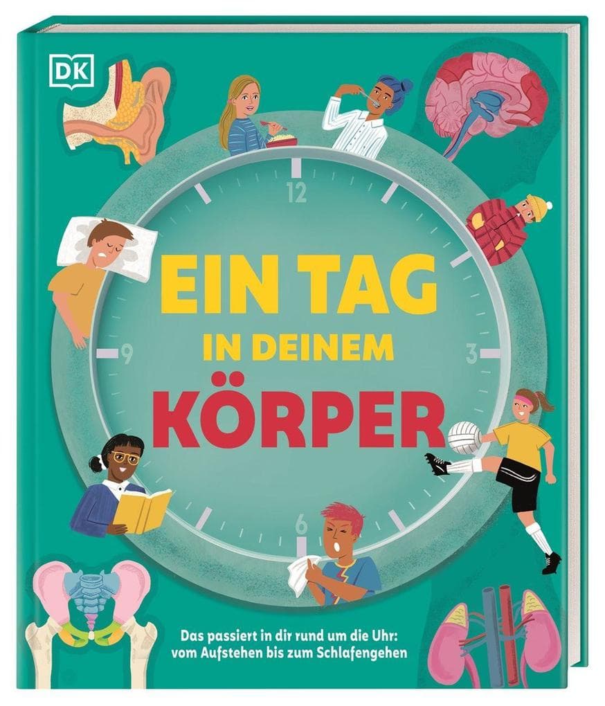 Ein Tag in deinem Körper: Das passiert in dir rund um die Uhr: vom Aufstehen bis zum Schlafengehen. Außergewöhnliches Körper-Buch für Kinder ab 8 Jahren