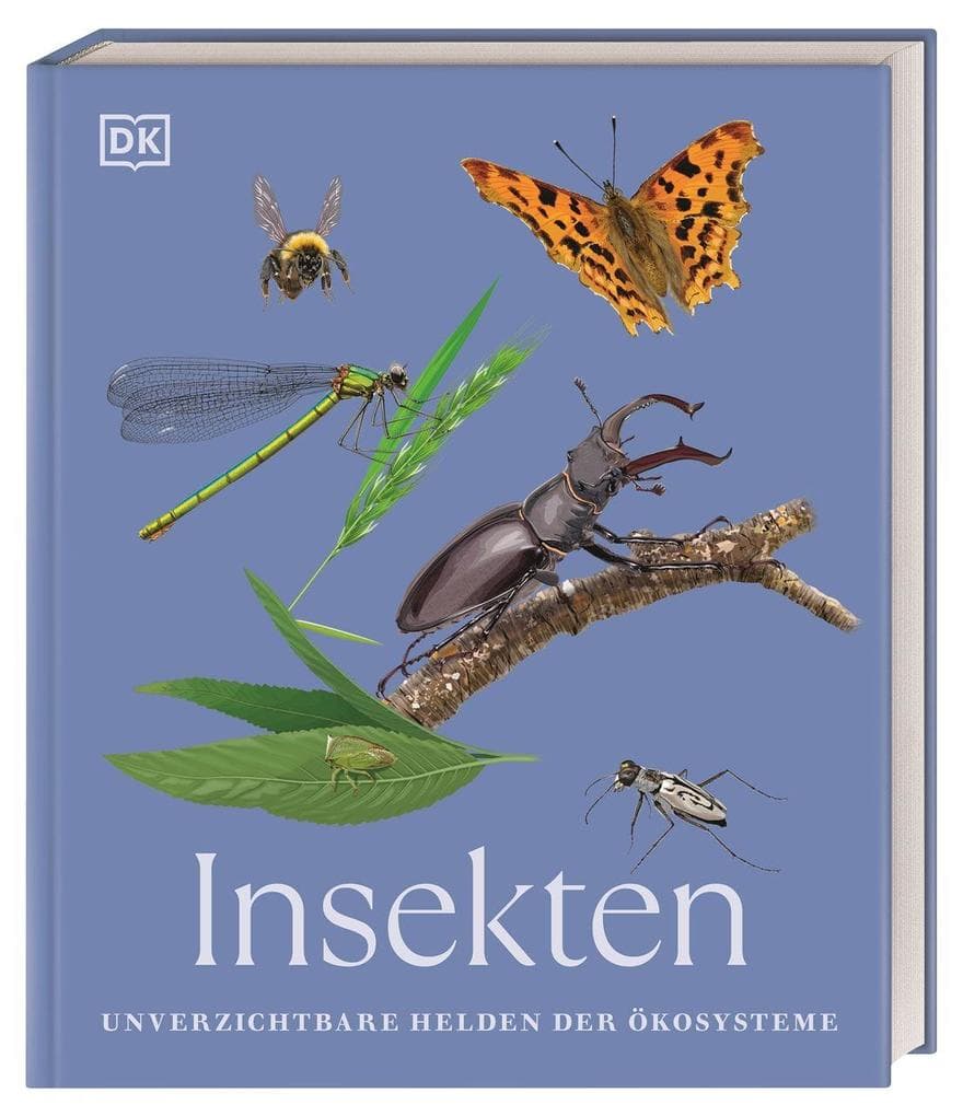 Insekten