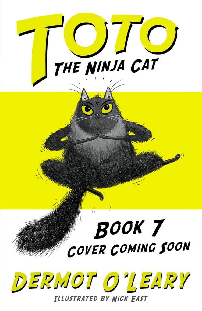 Toto the Ninja Cat and the Football Fiasco