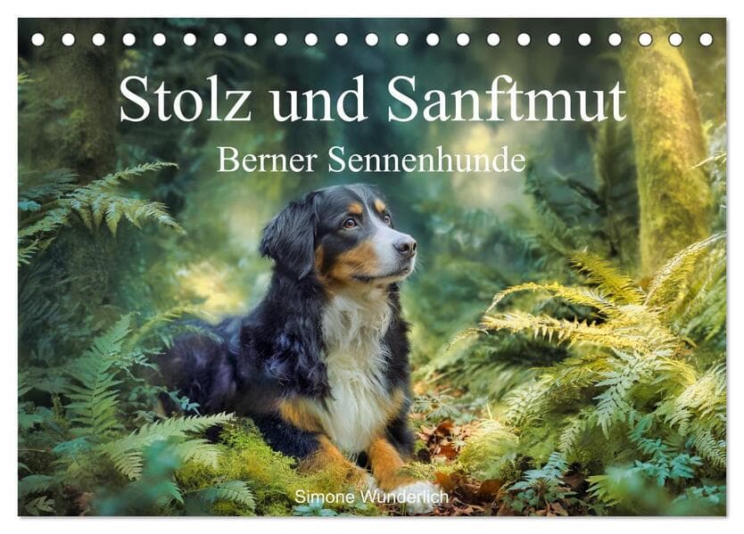 Stolz und Sanftmut - Berner Sennenhunde (Tischkalender 2027 DIN A5 quer), CALVENDO Monatskalender
