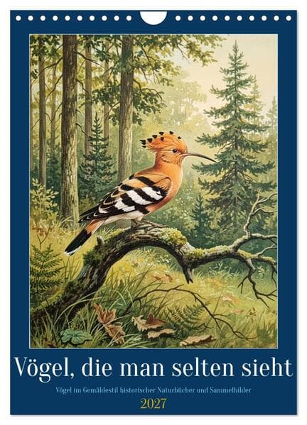 Vögel, die man selten sieht (Wandkalender 2027 DIN A4 hoch), CALVENDO Monatskalender