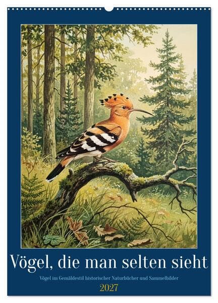 Vögel, die man selten sieht (Wandkalender 2027 DIN A2 hoch), CALVENDO Monatskalender